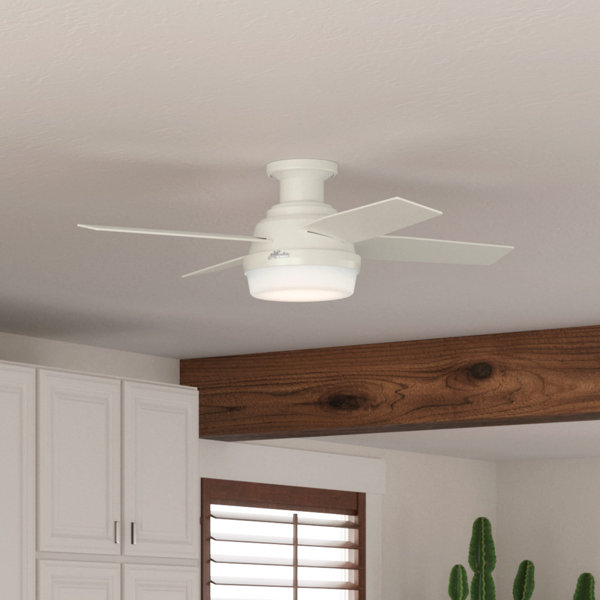 Hunter Fan Dempsey Low Profile 44'' Ceiling Fan with Light Kit